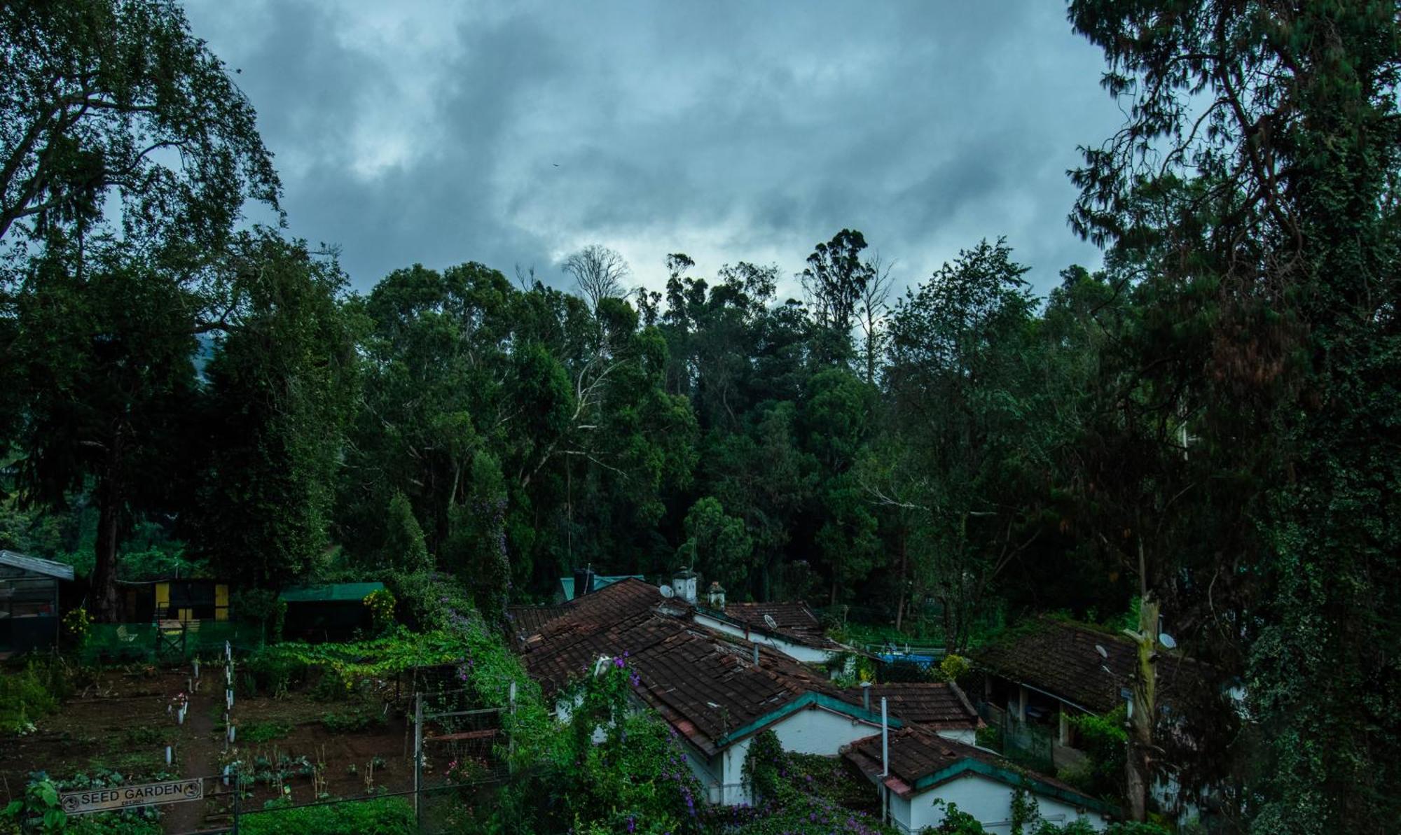 Treebo Kodai Kings Park, 650 M From Kodai Lake Kodaikanal Bagian luar foto